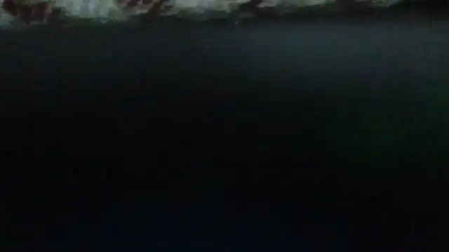 Leo Big online show from 09/23/25, 11:19