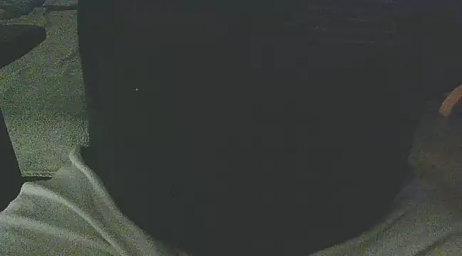 Snapshot of Palimy chatting on 02/04/25, 11:16 Palimy online show from 02/04/25, 11:16