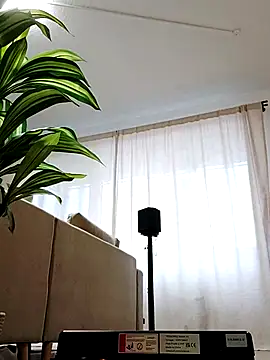 Snapshot of mister-dwt chatting on 02/26/25, 06:47 mister-dwt online show from 02/26/25, 06:47