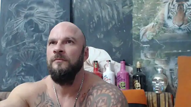 viking 30 online show from 09/11/25, 06:08