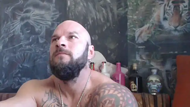 viking 30 online show from 10/25/25, 07:05