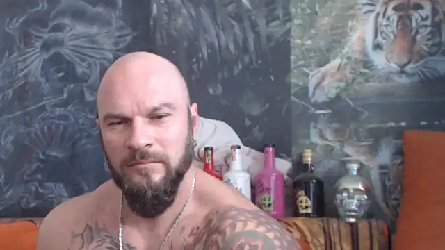 viking 30 online show from 10/28/25, 11:14