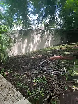 JohnnyBigShot online show from 09/28/25, 03:50