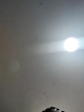 6lue6a6y69 online show from 12/22/24, 01:12