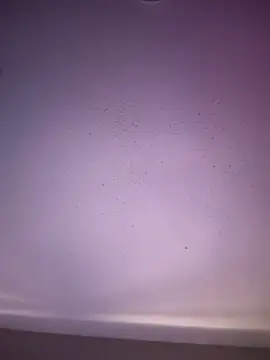 6lue6a6y69 online show from 11/01/25, 05:20