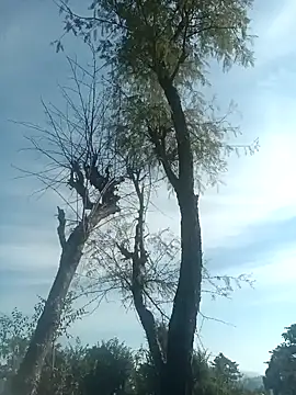 Snapshot of SunnyleoneBG chatting on 12/15/24, 07:46 SunnyleoneBG online show from 12/15/24, 07:46