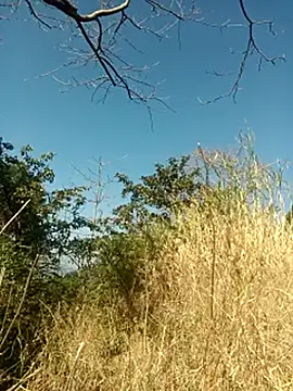 Snapshot of SunnyleoneBG chatting on 02/06/25, 05:03 SunnyleoneBG online show from 02/06/25, 05:03