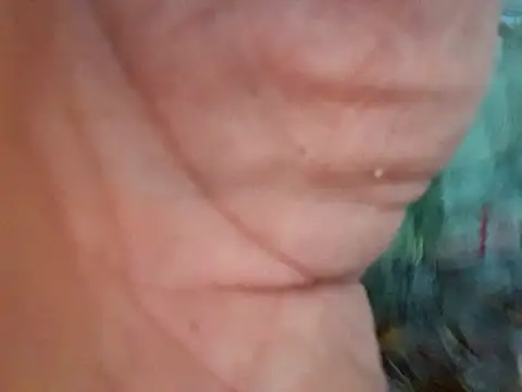 Snapshot of Payaso53 chatting on 04/11/26, 02:38 Payaso53 online show from 04/11/26, 02:38