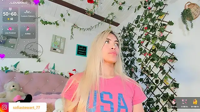 Snapshot of steewart_ chatting on 12/29/24, 11:29 steewart online show from 12/29/24, 11:29