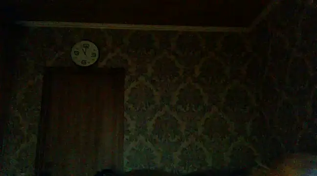 Snapshot of WildMissNiks chatting on 12/02/24, 09:02 WildMissNiks online show from 12/02/24, 09:02