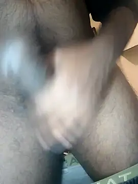 Snapshot of Sripandara1 chatting on 11/29/25, 11:19 Sripandara1 online show from 11/29/25, 11:19