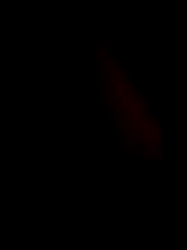 guilherme205 online show from 02/07/26, 02:43