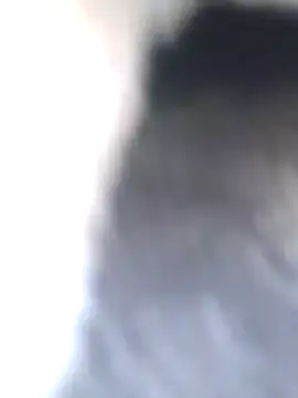 Dirtyfeelin online show from 01/27/25, 08:40