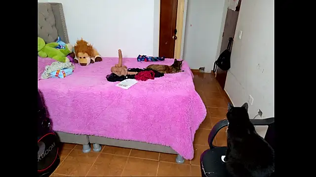 Snapshot of emily_honter chatting on 12/14/25, 08:46 emily honter online show from 12/14/25, 08:46