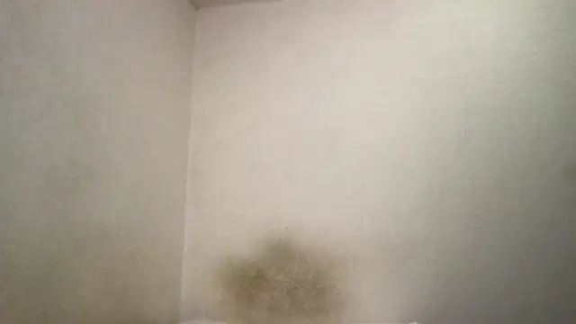 Snapshot of Magicwordsforme chatting on 03/15/25, 12:25 Magicwordsforme online show from 03/15/25, 12:25