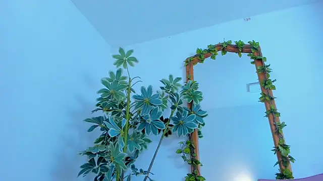 Snapshot of NinaWong chatting on 02/26/26, 07:02 NinaWong online show from 02/26/26, 07:02