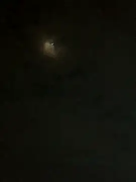 jesusthedonkey online show from 11/30/25, 01:31