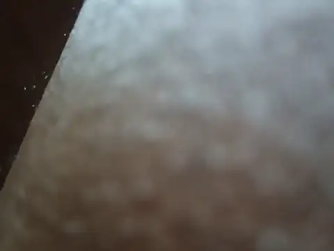 PrinceNoAlbert online show from 12/06/24, 03:33