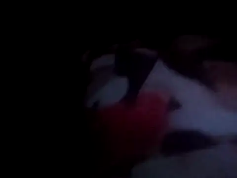 PrinceNoAlbert online show from 12/15/24, 01:02