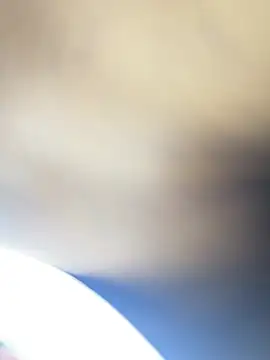 roman and jessie online show from 06/29/26, 06:41