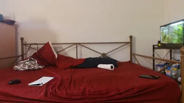 Snapshot of Dragonnyc@xh chatting on 02/21/26, 08:54 Dragonnycxh online show from 02/21/26, 08:54