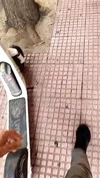 kostas19cm online show from 09/30/25, 11:48