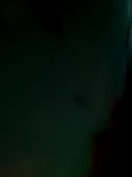 Bibcock2025 online show from 12/17/25, 05:52