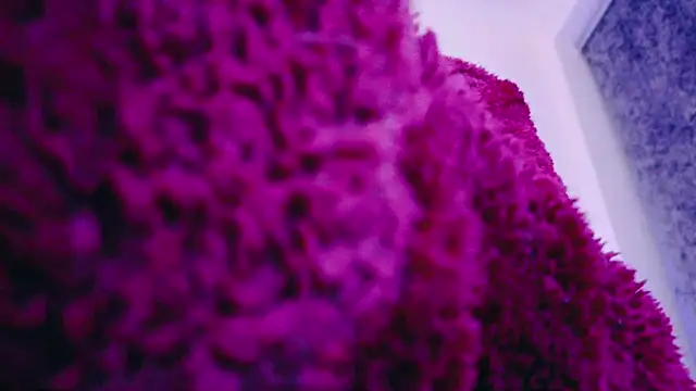 Snapshot of FemDom_RubyKnightXXO chatting on 03/18/25, 08:37 FemDom RubyKnightXXO online show from 03/18/25, 08:37