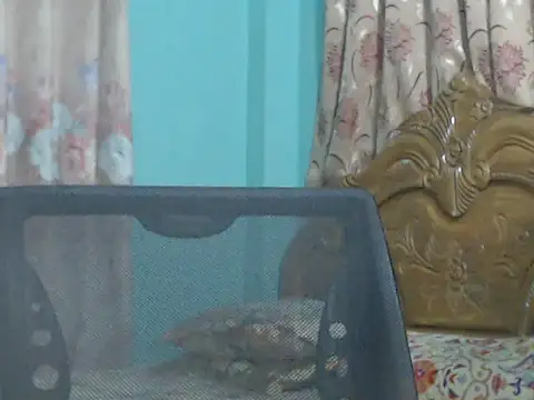 NancyRuvi online show from 09/09/25, 03:22