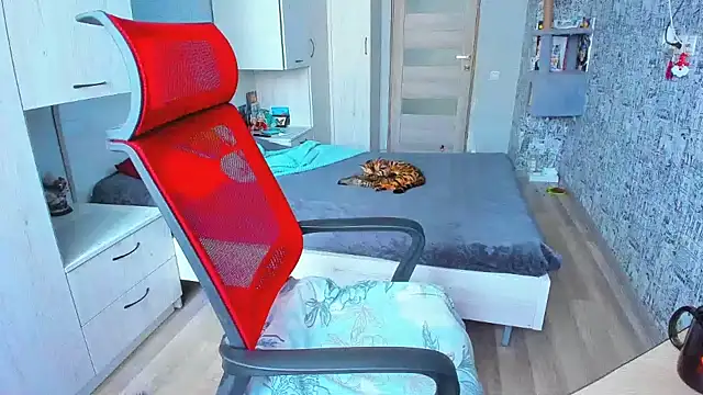 Snapshot of DUSSY_PUSSY chatting on 02/11/25, 04:22 DUSSY PUSSY online show from 02/11/25, 04:22