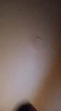 BunnyandClydeDk online show from 03/04/25, 03:44