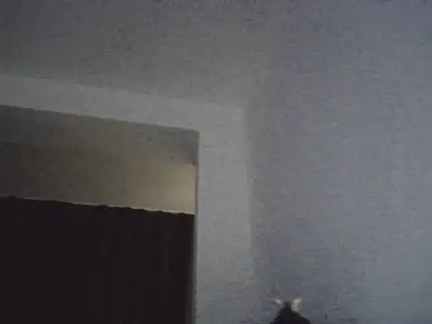 FallenDevil online show from 03/13/26, 07:09