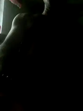 xxxsexy27 online show from 07/02/26, 10:32