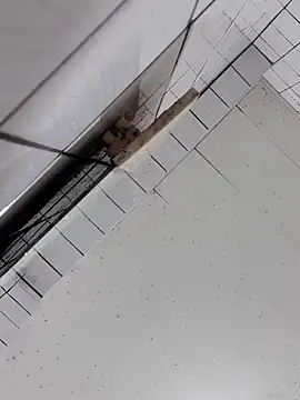 cindy01113520 online show from 10/02/25, 02:57