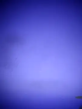 waspy online show from 03/08/25, 02:55