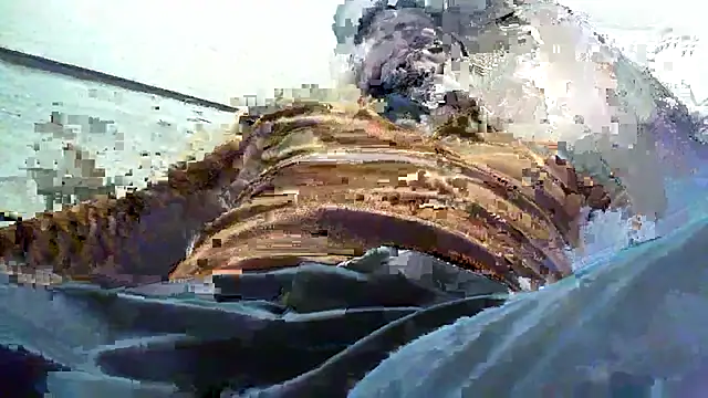 Snapshot of Billywax chatting on 01/08/26, 09:11 Billywax online show from 01/08/26, 09:11