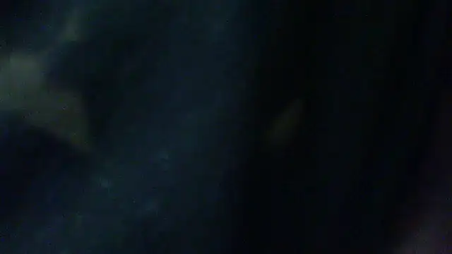 Snapshot of Billywax chatting on 02/02/26, 09:30 Billywax online show from 02/02/26, 09:30