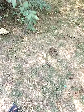 Snapshot of rameshmry1 chatting on 03/29/26, 05:29 rameshmry1 online show from 03/29/26, 05:29