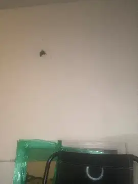 Foreignthababyy online show from 01/13/26, 03:12