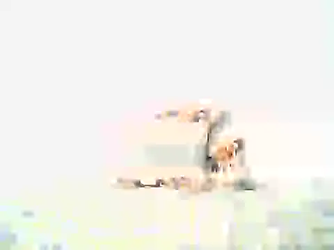 Snapshot of mellow_smoke chatting on 04/10/26, 08:02 mellow smoke online show from 04/10/26, 08:02