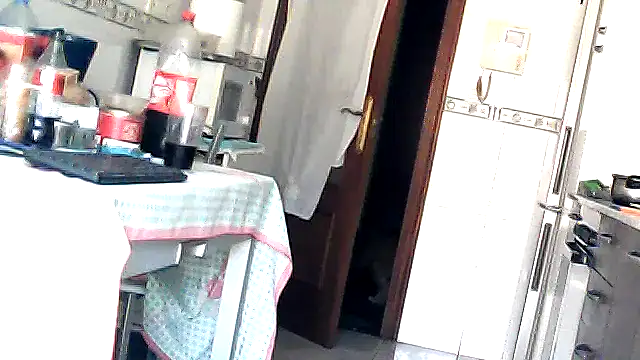 Snapshot of bixesualactivo chatting on 03/23/26, 11:58 bixesualactivo online show from 03/23/26, 11:58