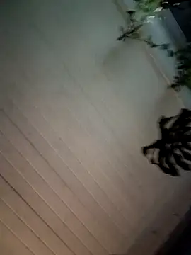 Nikkierosee online show from 12/14/24, 10:56