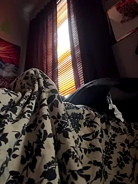 spideyzaddy online show from 11/26/25, 04:41