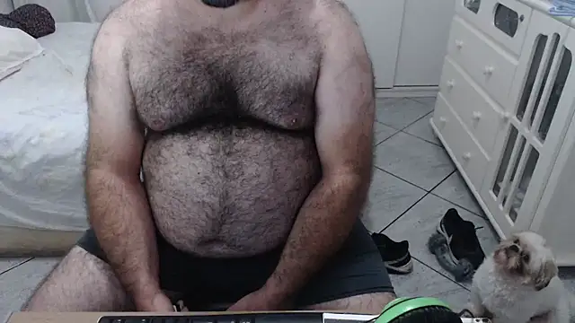 Snapshot of MysterBearMG chatting on 02/01/25, 01:34 MysterBearMG online show from 02/01/25, 01:34