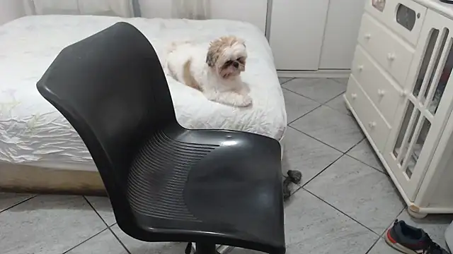 Snapshot of MysterBearMG chatting on 11/25/25, 12:32 MysterBearMG online show from 11/25/25, 12:32