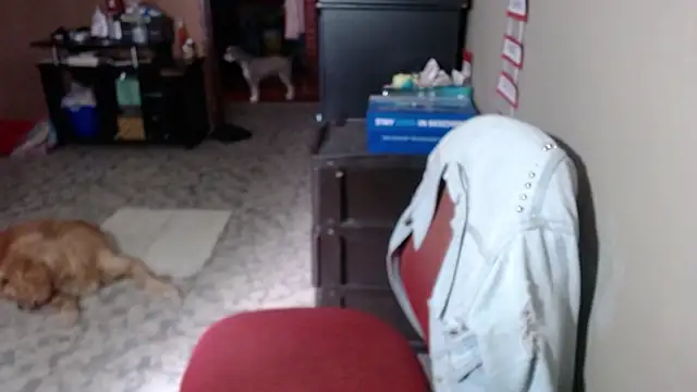 Barbiegomez online show from 03/17/26, 06:11