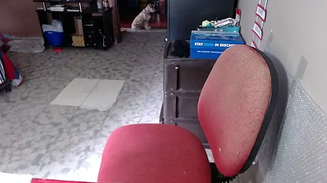 Barbiegomez online show from 03/19/26, 04:11