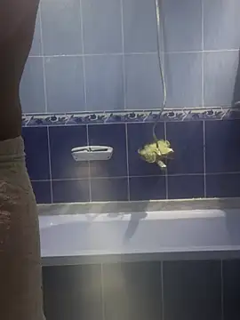 Arabien Pharaoh- online show from 03/20/25, 05:58