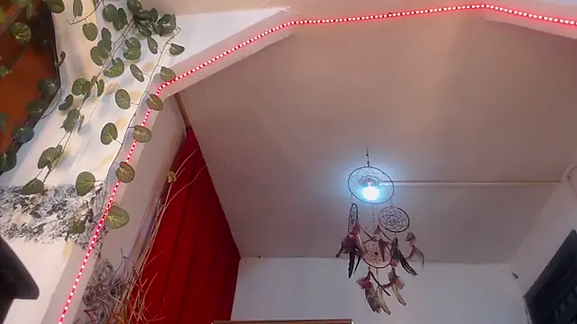 Snapshot of hornytsblonde chatting on 12/28/24, 03:26 hornytsblonde online show from 12/28/24, 03:26