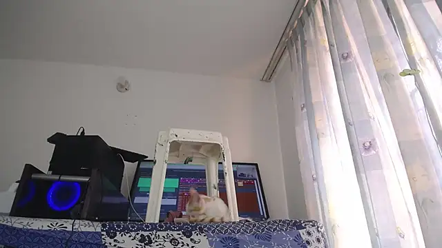 eolicasex online show from 02/01/25, 07:44